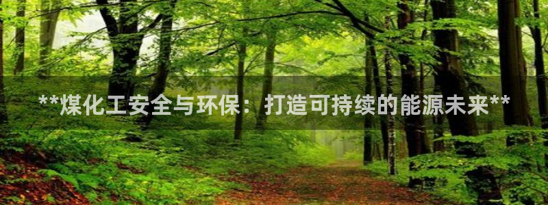 亿万先生mr01官网 - 亿万先生手机版入：**煤化工安全与环保：打造可持续的能源未来**