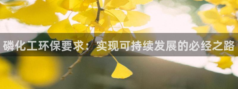 亿万先生客户端怎么下载：磷化工环保要求：实现可持续发展的必经之路