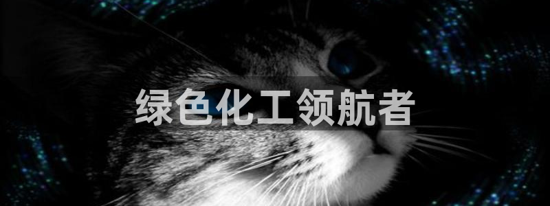 亿万先生mr07：绿色化工领航者