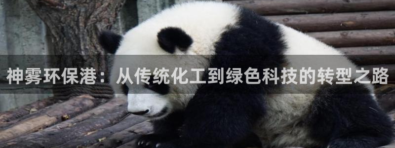 亿万先生充电桩：神雾环保港：从传统化工到绿色科技的转型之路