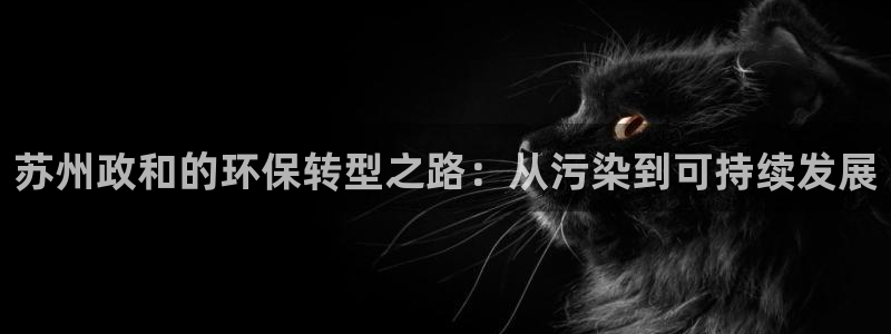 亿万先生mr008：苏州政和的环保转型之路：从污染到可持续发展