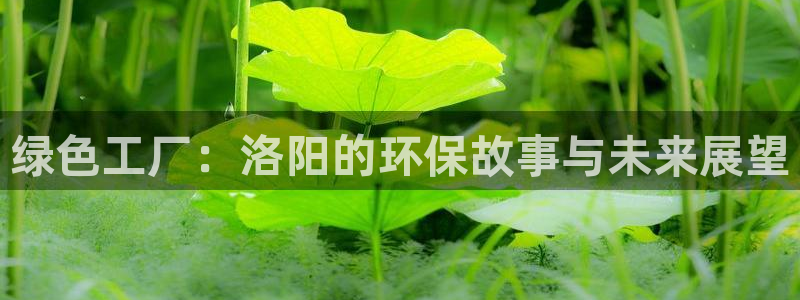亿万客户端：绿色工厂：洛阳的环保故事与未来展望
