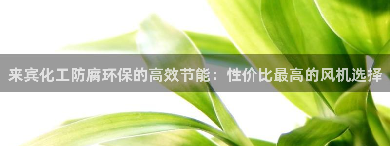 亿万先生 手机版下载最新版：来宾化工防腐环保的高效节能：性价比最高的风机选择