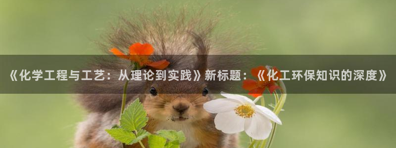 亿万剪辑：《化学工程与工艺：从理论到实践》新标题：《化工环保知识的深度》