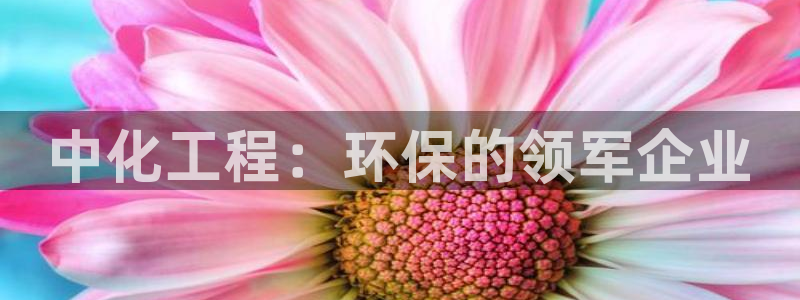 亿万同人字幕组微博的微博