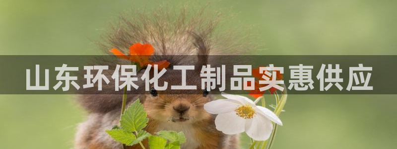亿万先生客户端官网登录不了：山东环保化工制品实惠供应
