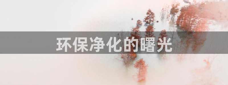 mr07亿万先生：环保净化的曙光