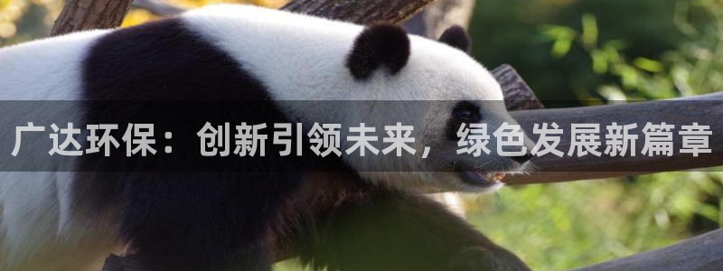 亿万先生：广达环保：创新引领未来，绿色发展新篇章
