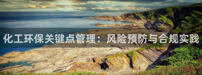 亿万啥意思：化工环保关键点管理：风险预防与合规实践