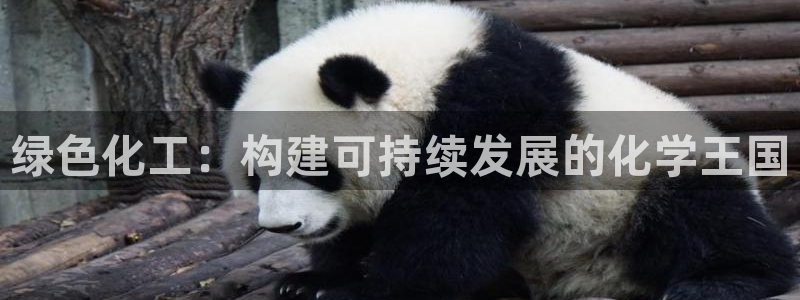 亿万同人字幕组的个人主页：绿色化工：构建可持续发展的化学王国