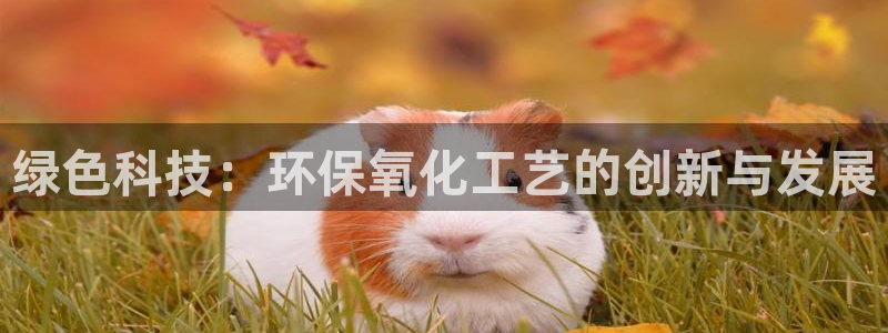 电影亿万：绿色科技：环保氧化工艺的创新与发展