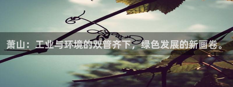 亿万番外：萧山：工业与环境的双管齐下，绿色发展的新画卷。