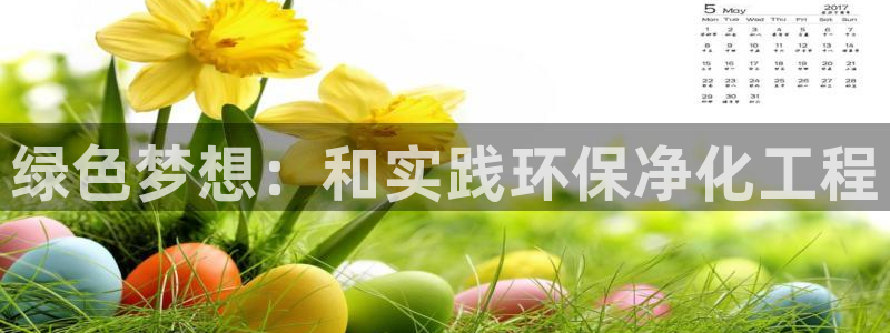 亿万先生官方网站客户端下载安装最新版：绿色梦想：和实践环保净化工程